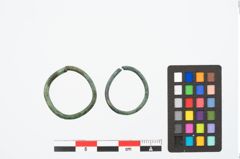 Foto von Bronzering (NHMW-PRAE-026374)